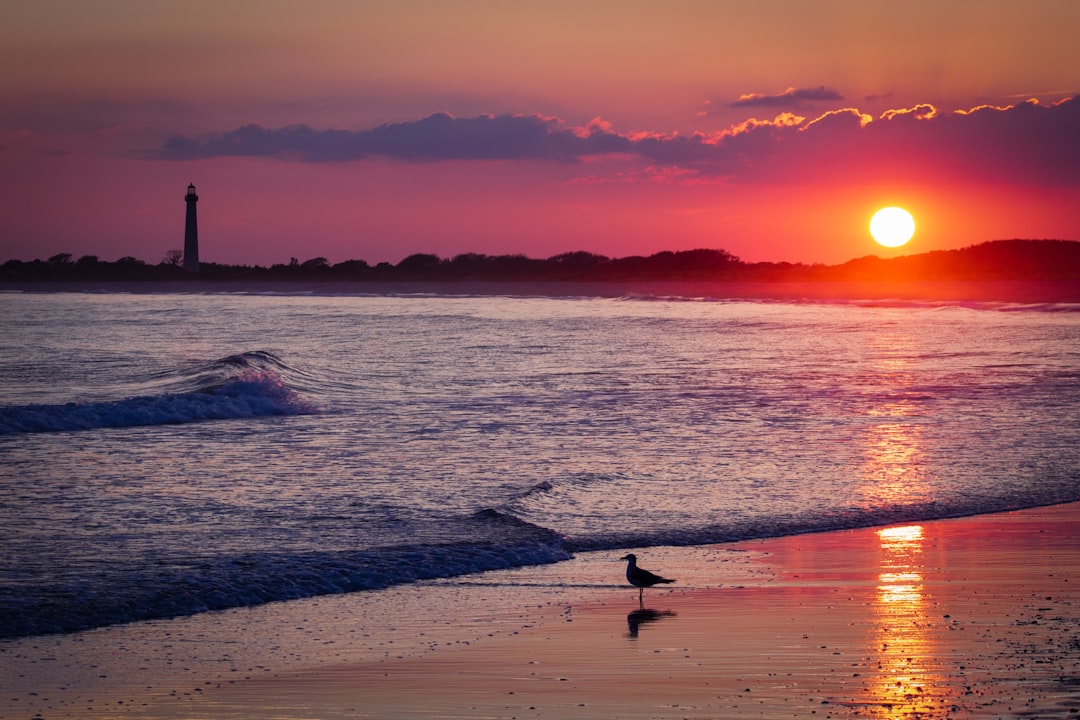 Cape May Lighthouse: A Journey Through Time and Beauty - Cape May | Secret World Trip Planner