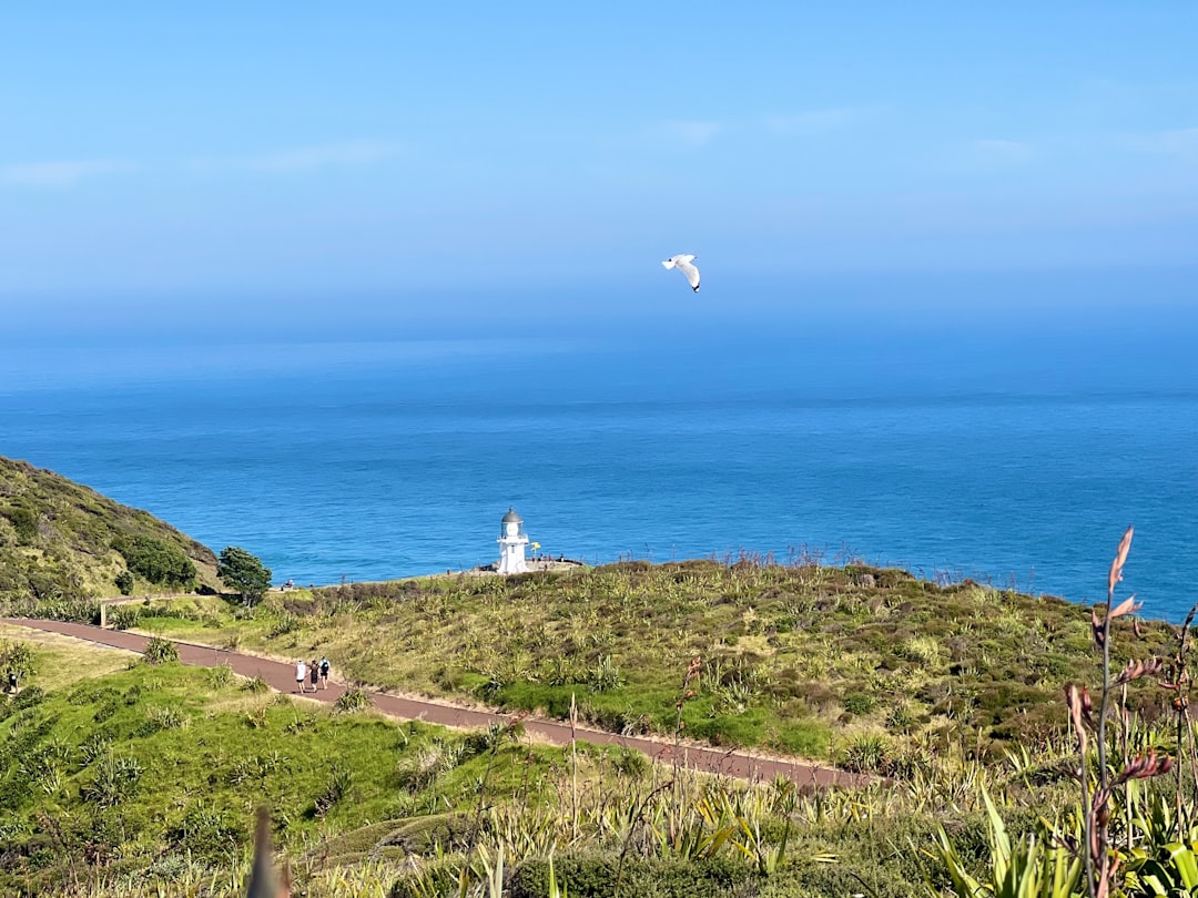 Faro di Cape Reinga: Dove i Mari si Incontrano - Capo Reinga 0484 | Secret World Trip Planner