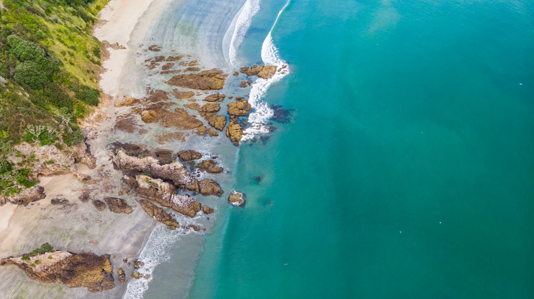 Plages de Rêve : L'Île Waiheke en Nouvelle-Zélande - Isola Waiheke | Secret World Trip Planner