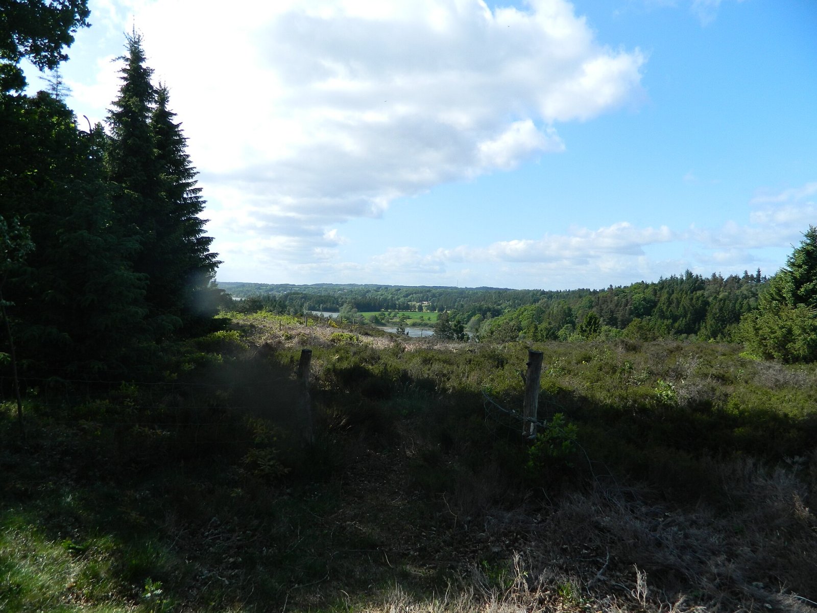 Sukkertoppen: ein Naturjuwel Dänemarks - 2MQG+CM Skanderborg | Secret World Trip Planner