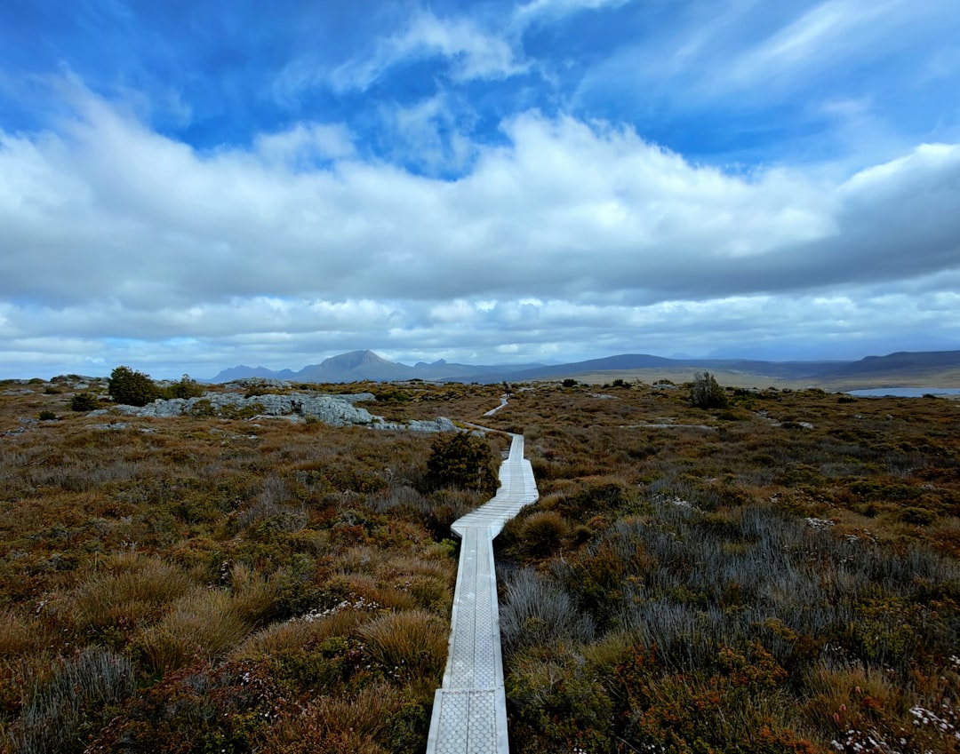 Discover the Overland Track: Adventure in Tasmanian Wilderness — Overland Track