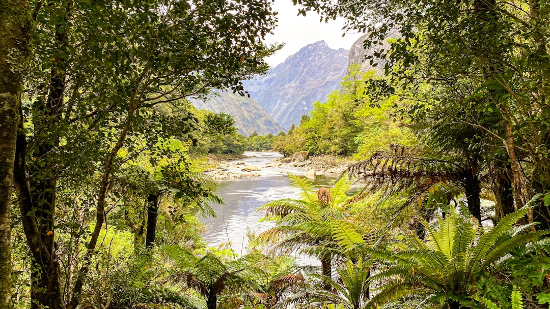 Milford Track: Der Fjordweg Neuseelands — Milford Track