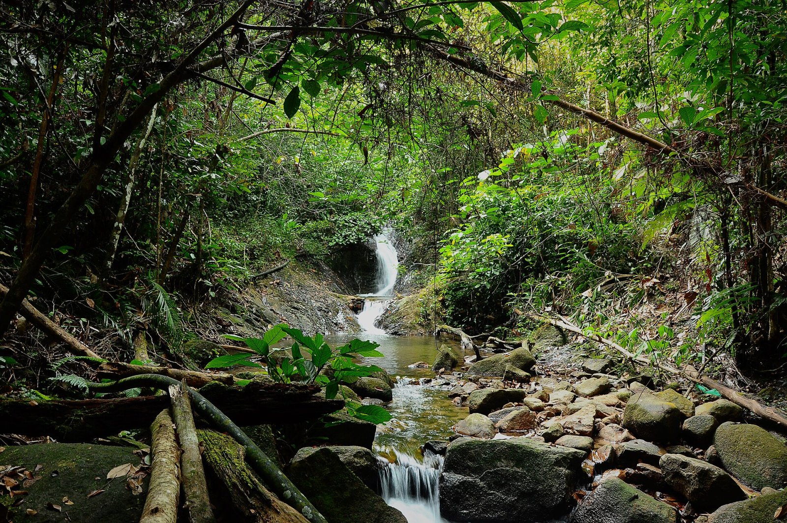 Scopri Gunung Belumut: un tesoro naturale della Malesia - Kulai | Secret World Trip Planner