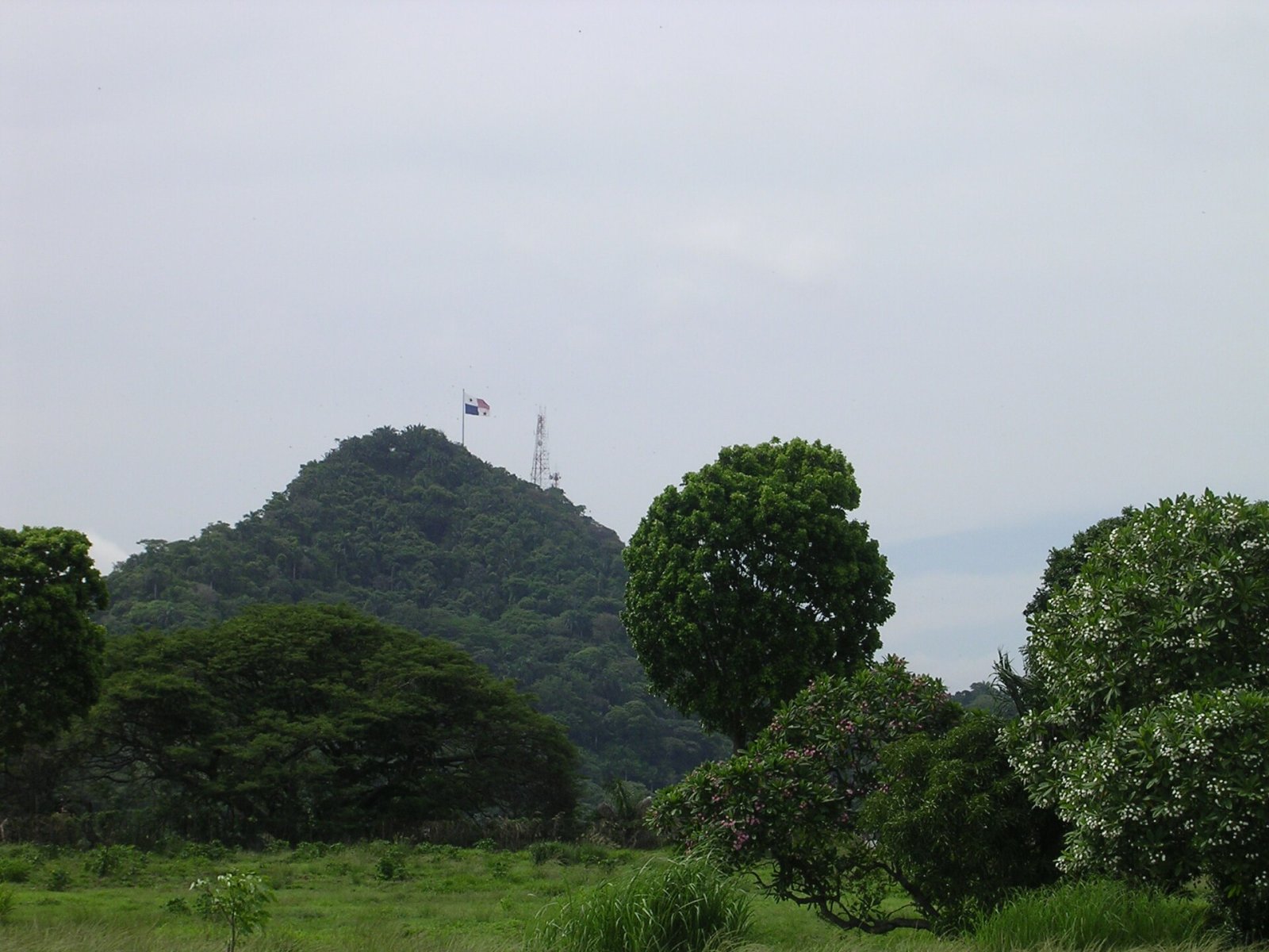 Entdecken Sie die natürliche Schönheit des Ancón Hill in Panama - Panamá | Secret World Trip Planner