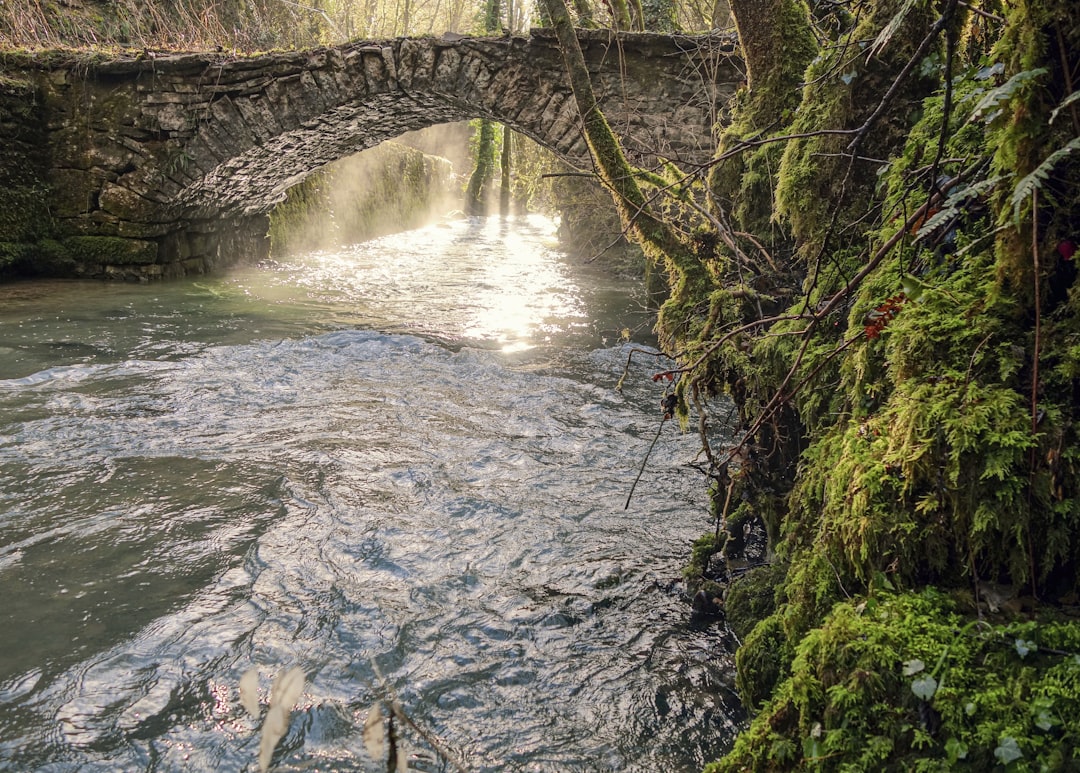 Pont Vieux: Il Ponte Nascosto di Albi - Pont Vieux | Secret World Trip Planner