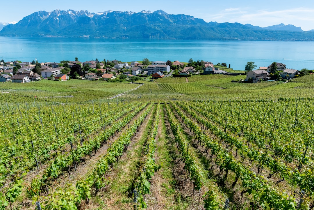 Château d'Ouchy: Una joya oculta en Suiza - Pl. du Port | Secret World Trip Planner