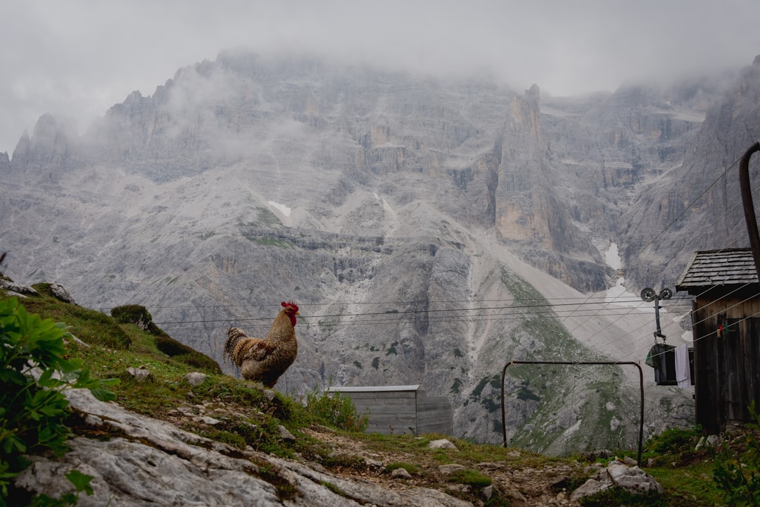 Sesto: Um Paraíso Escondido nas Dolomitas - 39030 Sesto BZ | Secret World Trip Planner