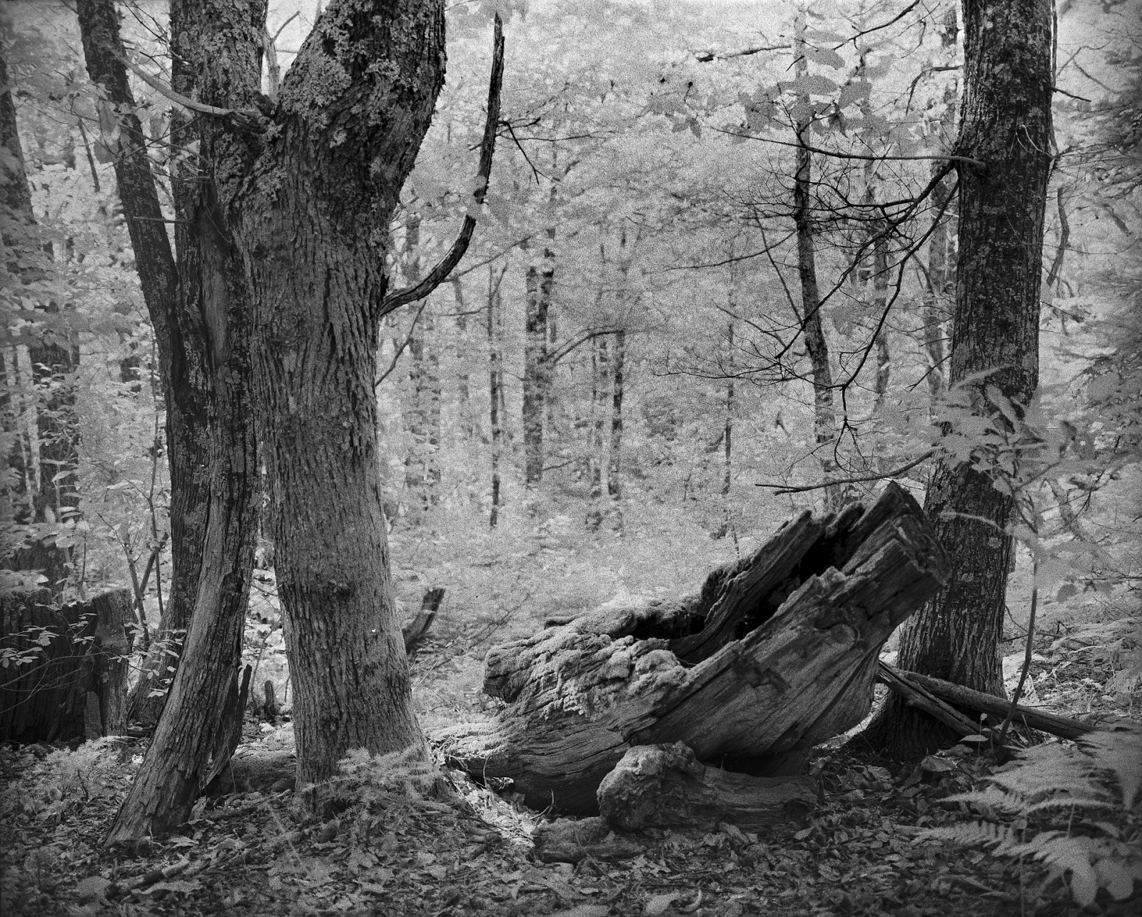 Scopri Dirfi: La Montagna Incantevole di Eubea - JRGR+JC Dirfis | Secret World Trip Planner