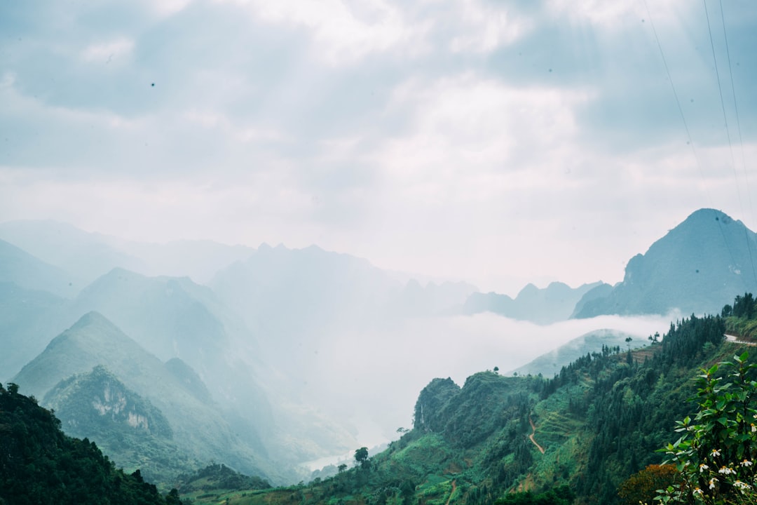 Discover Son Tra Mountain: A Natural Paradise in Vietnam — Son Tra