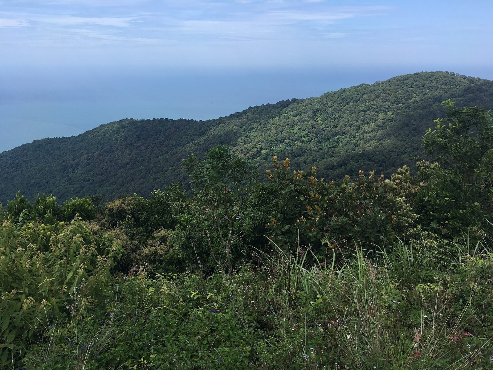 Entdecken Sie den Son Tra Berg: Ein Naturparadies in Vietnam - Son Tra | Secret World Trip Planner