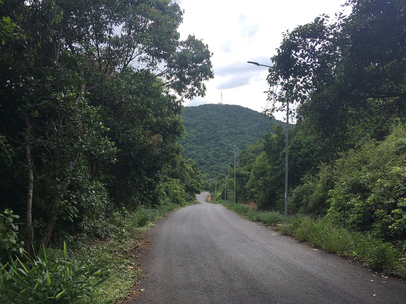Découvrez la Montagne de Son Tra : Un Paradis Naturel au Vietnam - Son Tra | Secret World Trip Planner