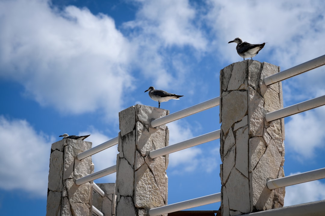 Itinéraire Parfait Cancún : Planifiez avec Secret World - Cancún | Secret World Trip Planner