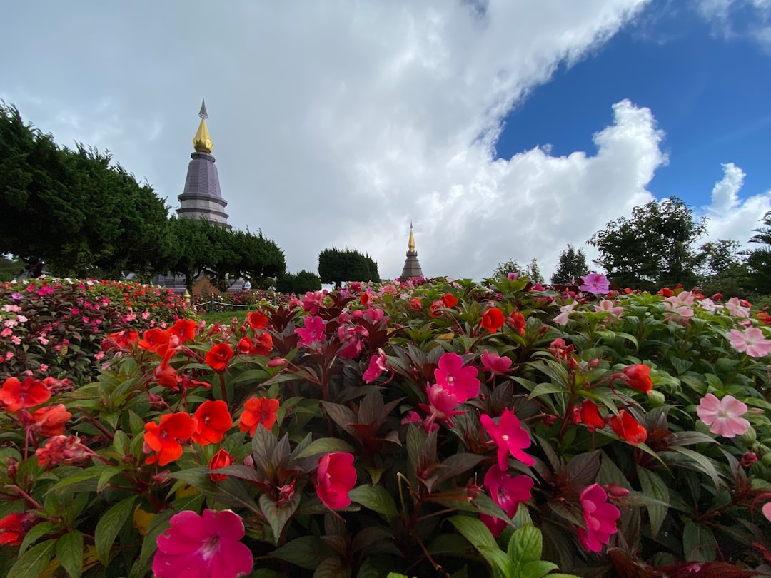Doi Inthanon : Le sommet le plus élevé de Thaïlande à explorer — Amphoe Mae Chaem