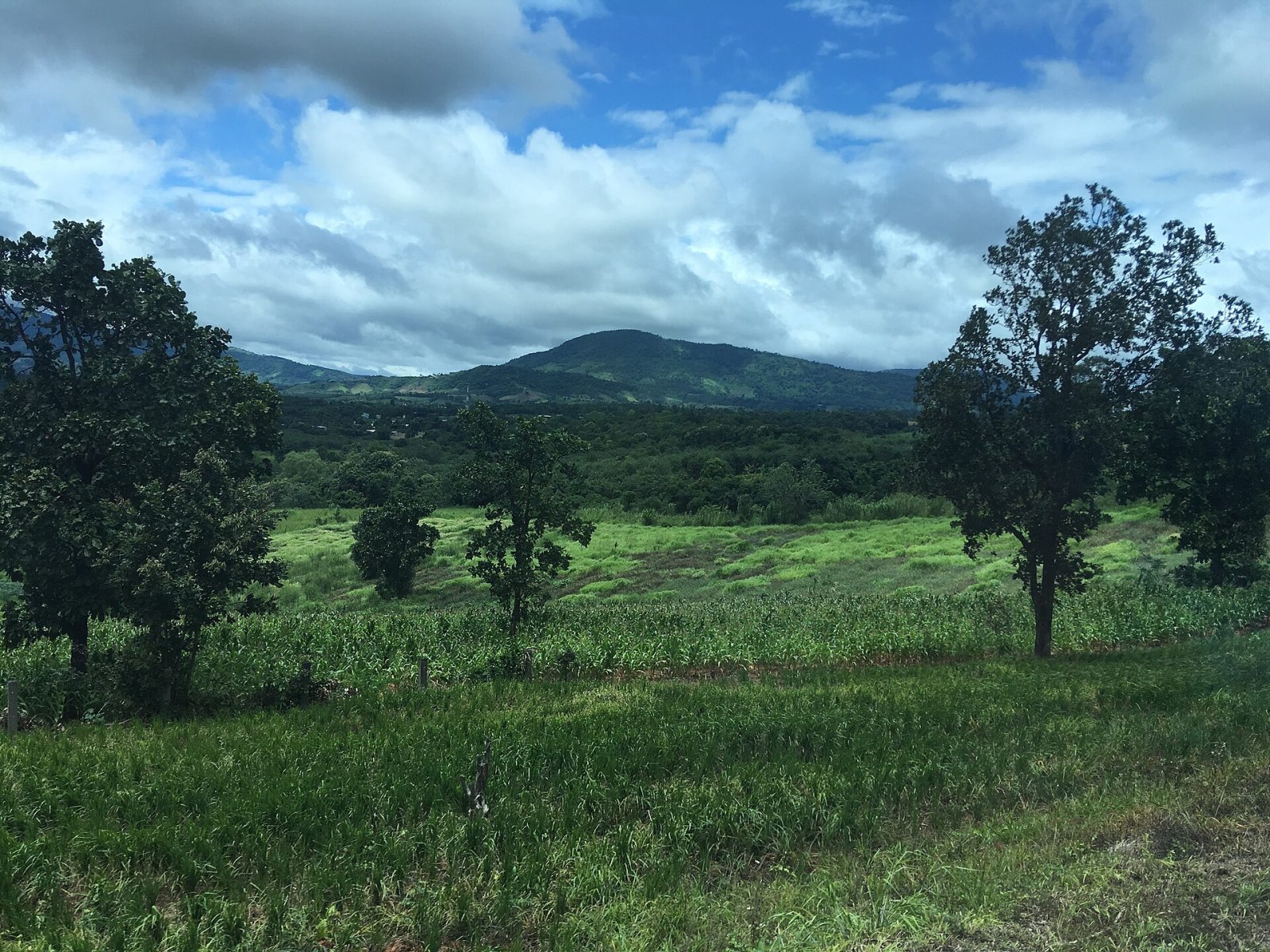Entdecken Sie Phu Ruea: Ein unberührtes Naturparadies in Thailand - Phu Ruea District | Secret World Trip Planner