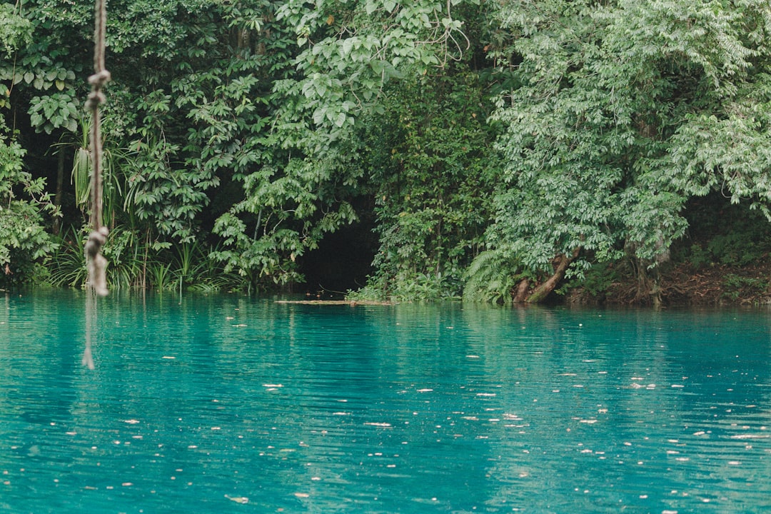 Le Grand Trou Bleu : Un Paradis Sous-Marin au Belize | Secret World Trip Planner