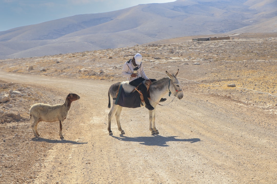 Unique Experience at the Judean Desert Springs | Secret World Trip Planner