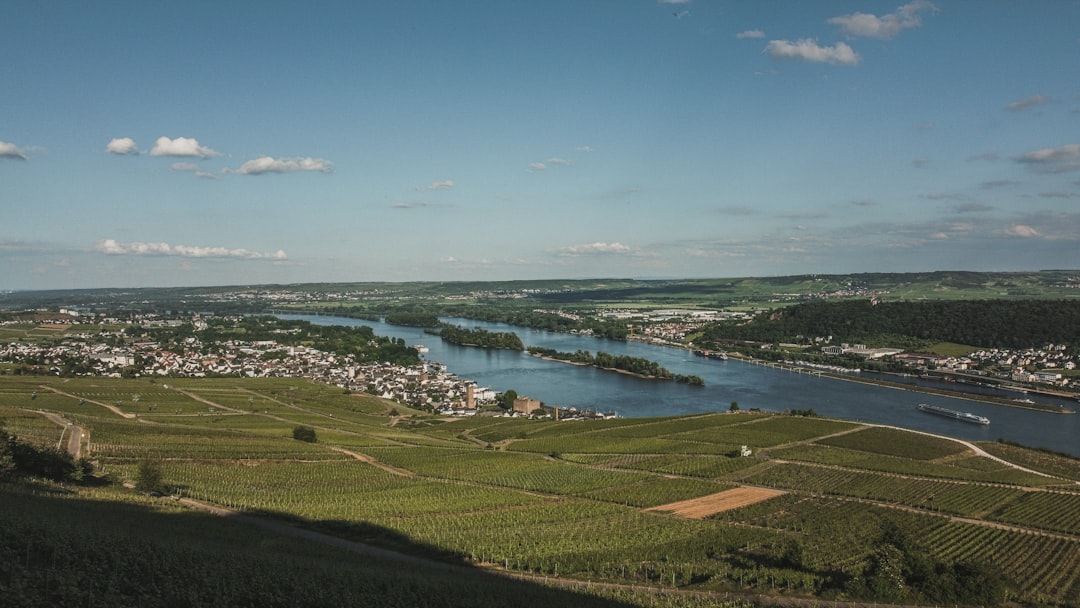 Découvrez les Rieslings Rares de Rüdesheimer Berg - Am Niederwald 3 | Secret World Trip Planner