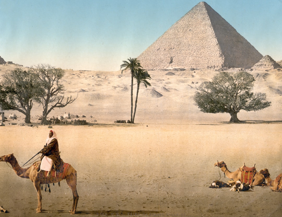 Découvrez Kawm Hufayn : un bijou naturel en Égypte - Amreya 1 | Secret World Trip Planner