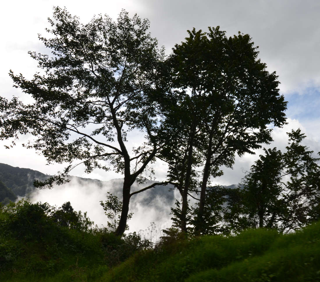 Discover Cerro San José: A Natural Gem in Costa Rica - Abangares | Secret World Trip Planner