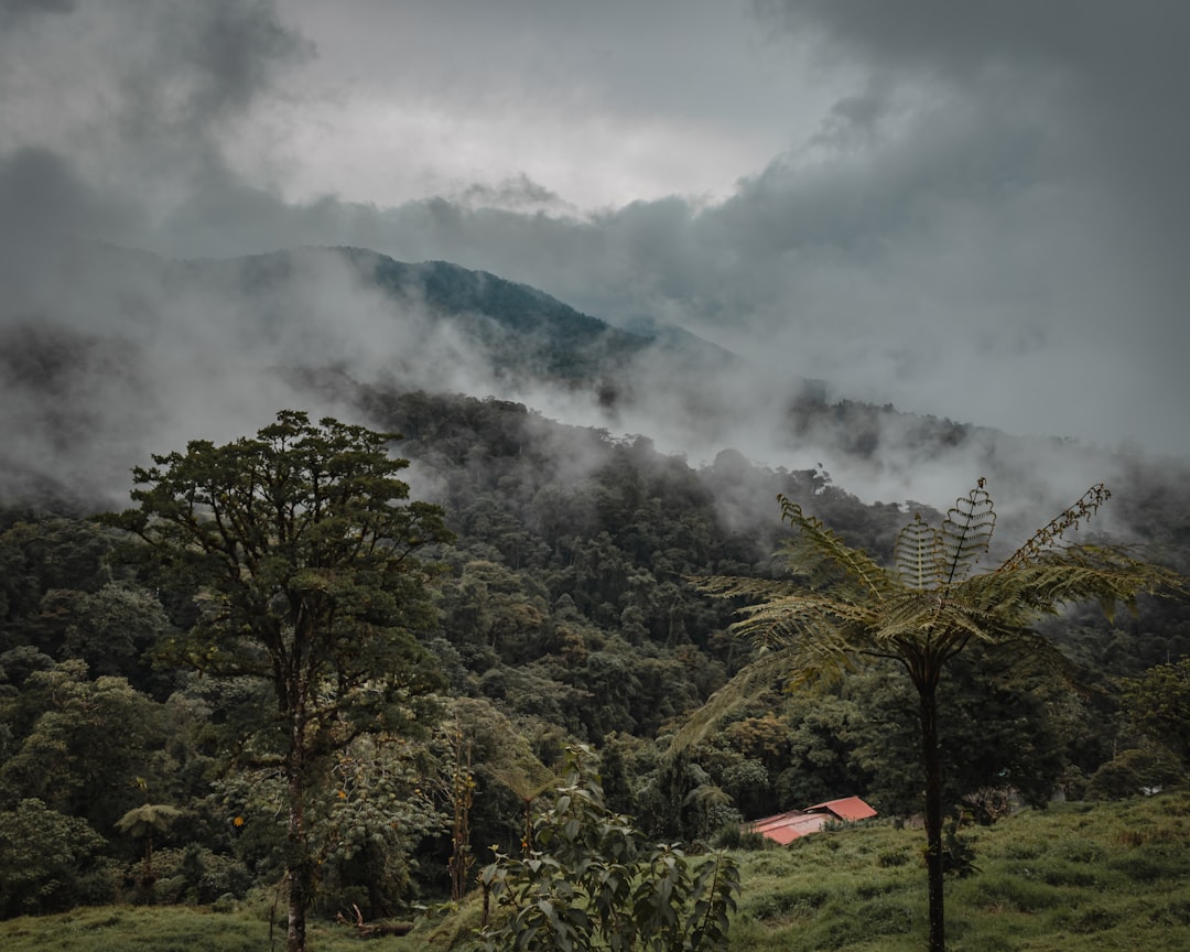 Scopri il Cerro Cedral: un gioiello naturale del Costa Rica - San Antonio | Secret World Trip Planner