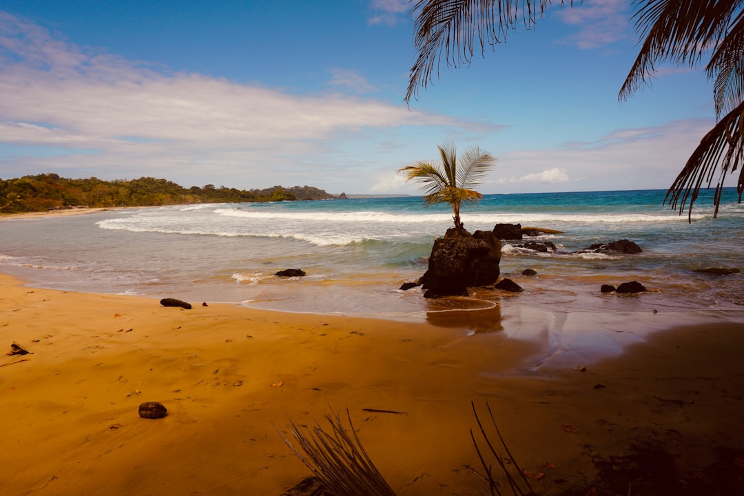 Discover Playa Venao: Panama's Natural Gem - Las Escobas del Venado | Secret World Trip Planner