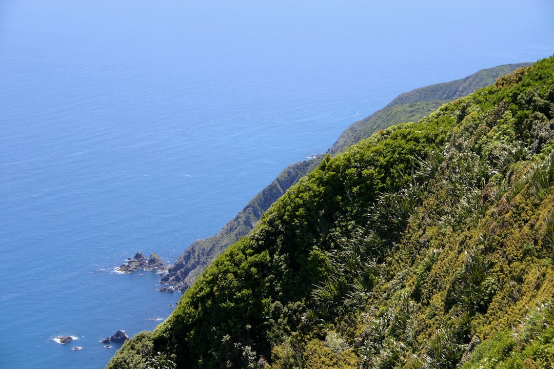 Sentieri Magici della Kapiti Coast - Kapiti | Secret World Trip Planner