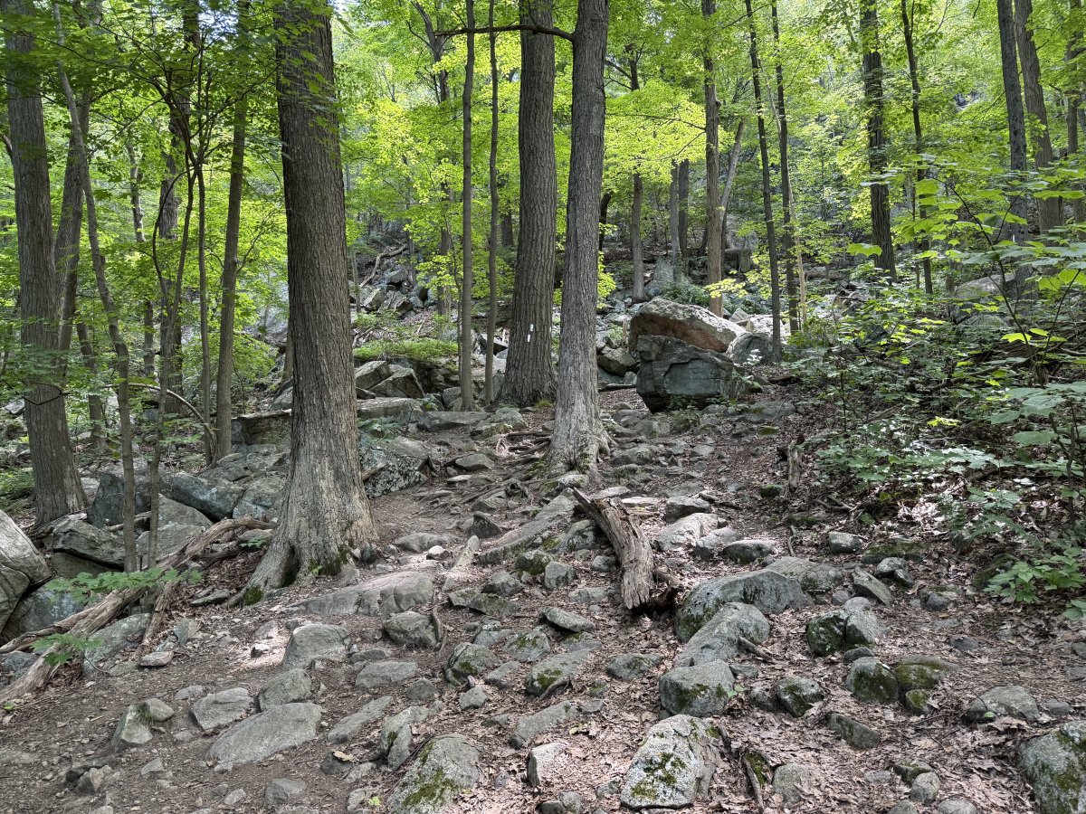 Exploring the Appalachian Trail: An Endless Trek | Secret World Trip Planner