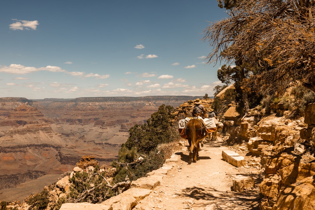 Entdecke den Rim Trail: Ein Unvergessliches Abenteuer - Grand Canyon Village | Secret World Trip Planner