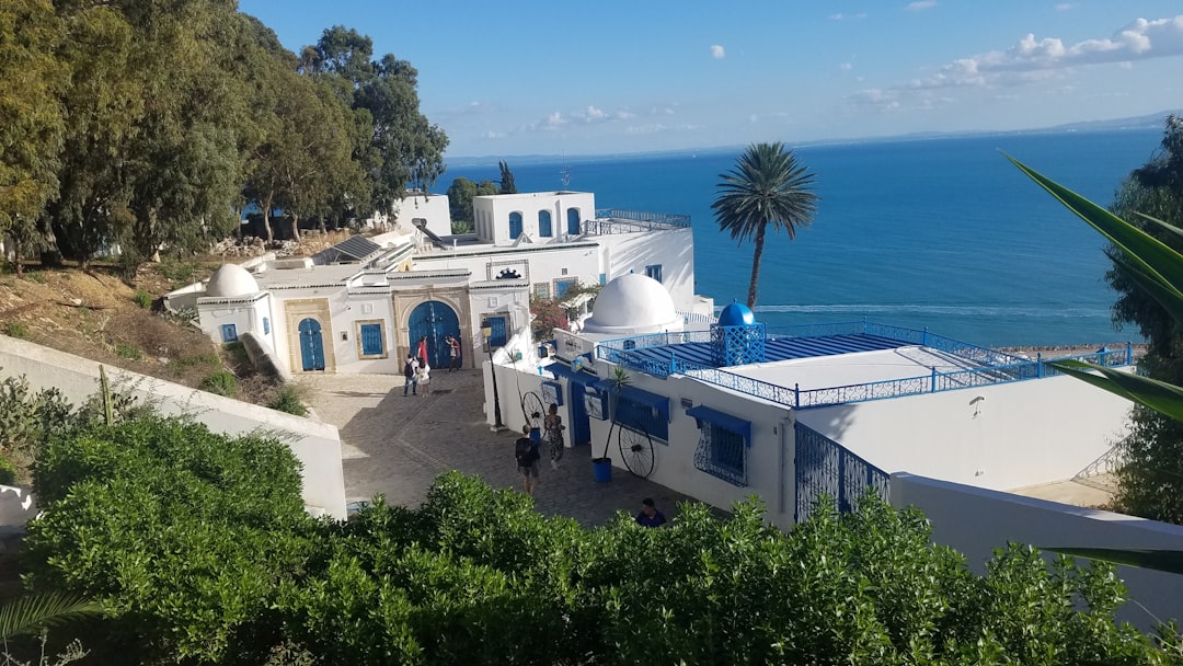 Sidi Bou Said : Les Marchés d'un Village Enchanté — Sidi Bou Said
