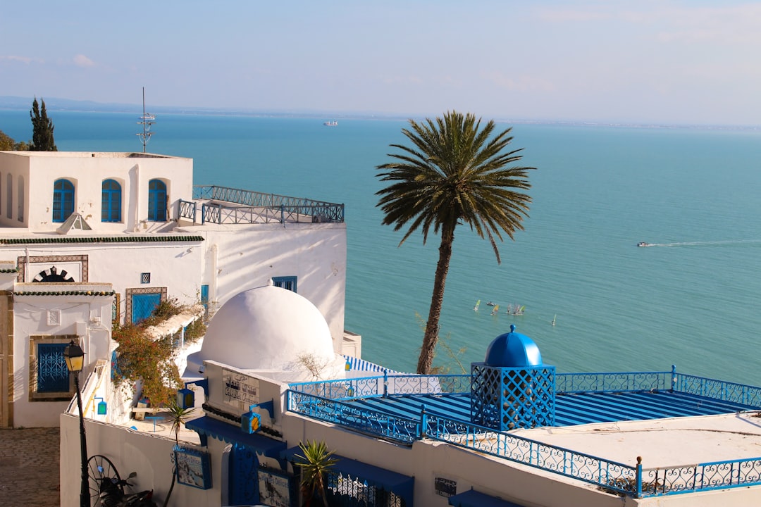 Sidi Bou Said : Les Marchés d'un Village Enchanté - Sidi Bou Said | Secret World Trip Planner