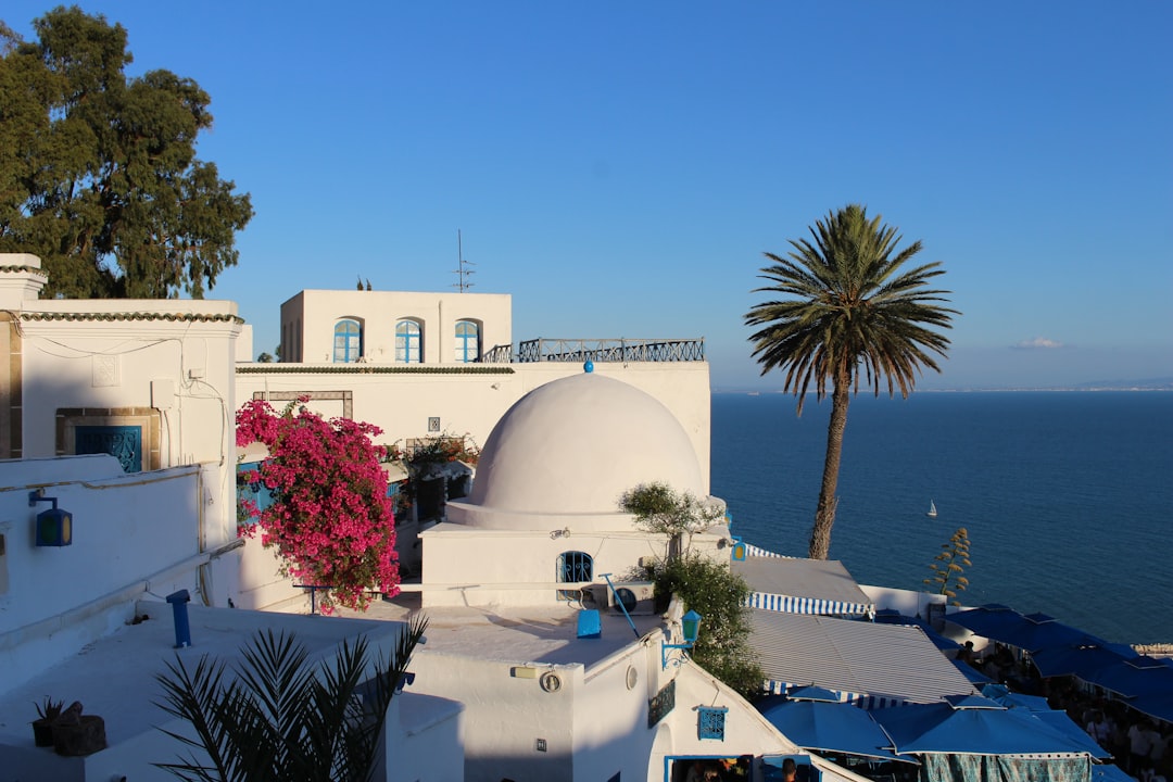 Sidi Bou Said : Les Marchés d'un Village Enchanté - Sidi Bou Said | Secret World Trip Planner