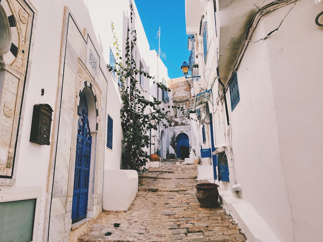 Sidi Bou Said : Les Marchés d'un Village Enchanté - Sidi Bou Said | Secret World Trip Planner