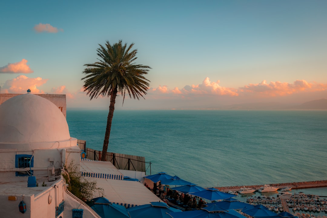 Sidi Bou Said : Les Marchés d'un Village Enchanté - Sidi Bou Said | Secret World Trip Planner