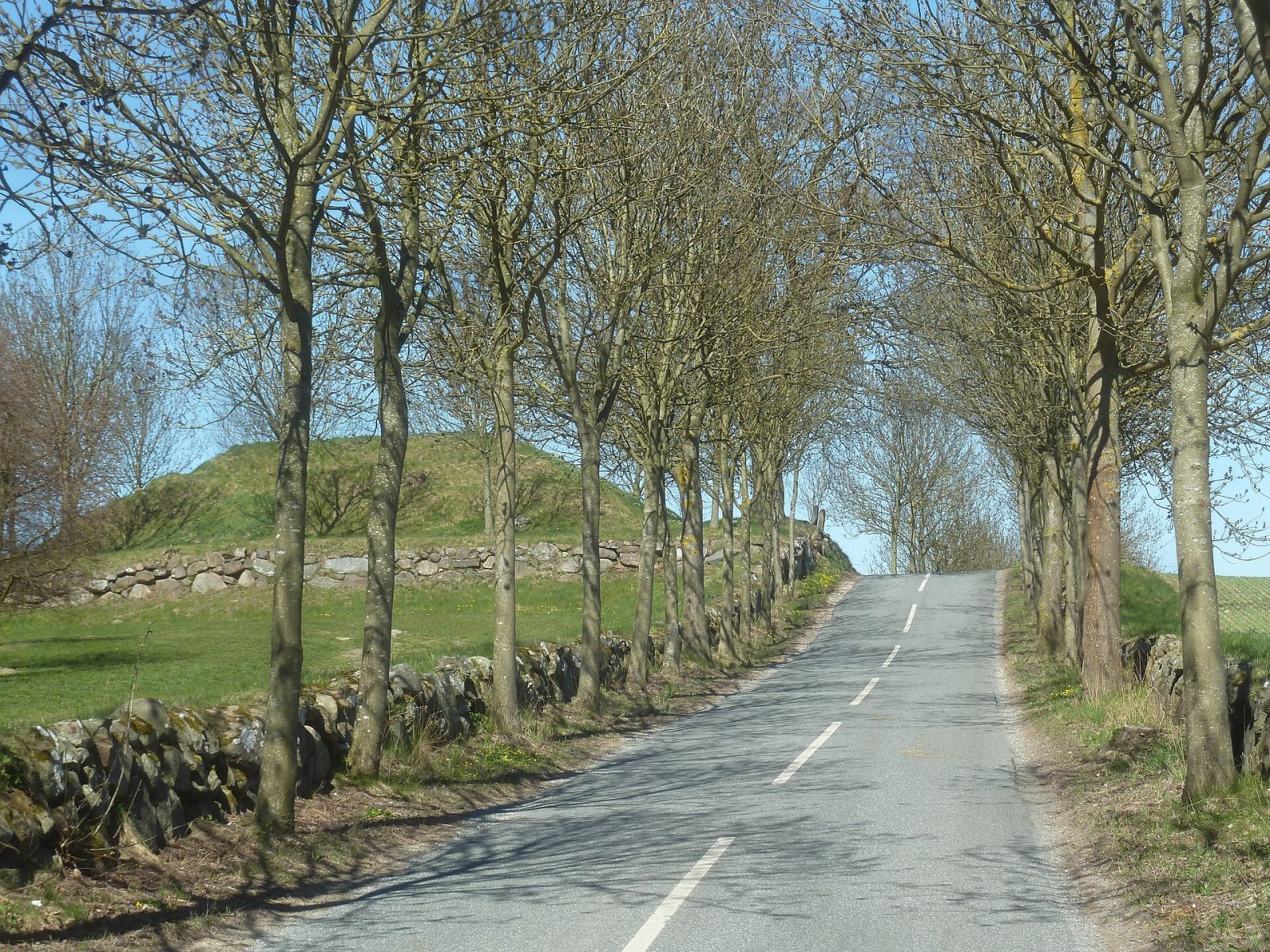 Découvrez Gyngehøj : un tumulus historique au Danemark — P795+CP Smorum