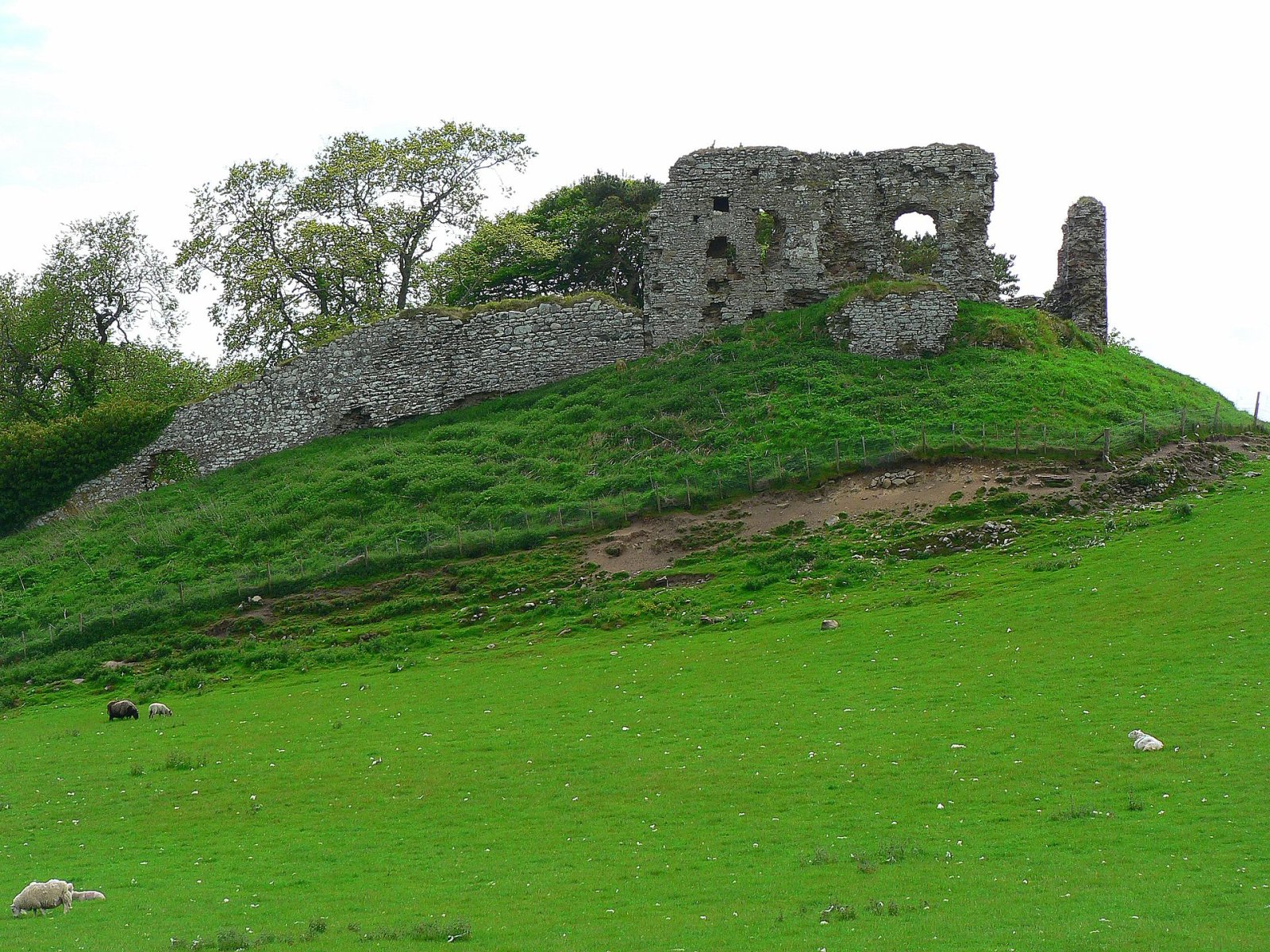 Discovering Skelbo Castle: A Historical Treasure in Scotland — WXH5+WP Dornoch