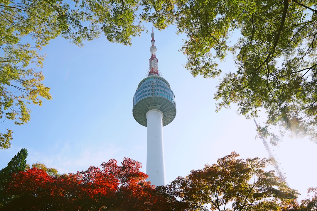 Des panoramas époustouflants depuis la Tour de Séoul - Yongsan District | Secret World Trip Planner