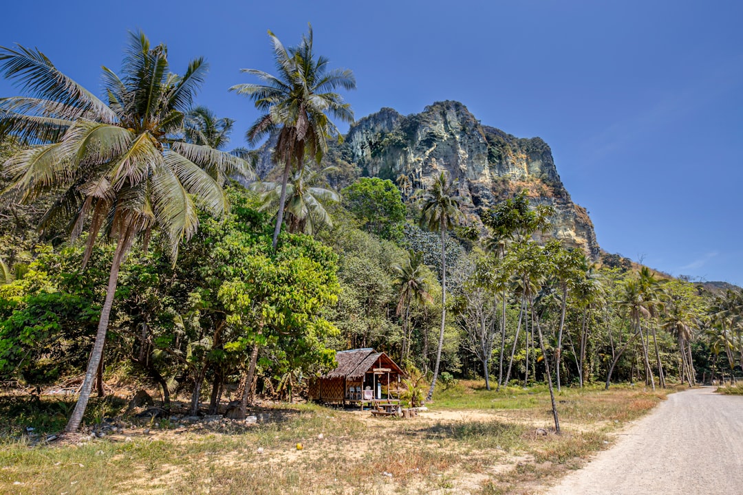 Cascate Nascoste nel Parco Nazionale Khlong Phanom - Amphoe Phanom | Secret World Trip Planner