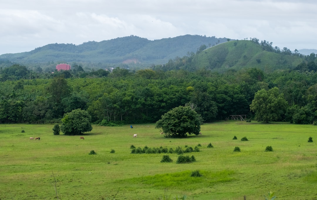 Cascades Cachées du Parc National Khlong Phanom - Amphoe Phanom | Secret World Trip Planner