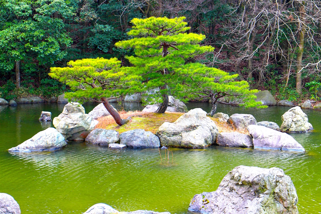 Suizenji Jojuen: Ein Geheimer Garten der Ruhe - Kumamoto | Secret World Trip Planner