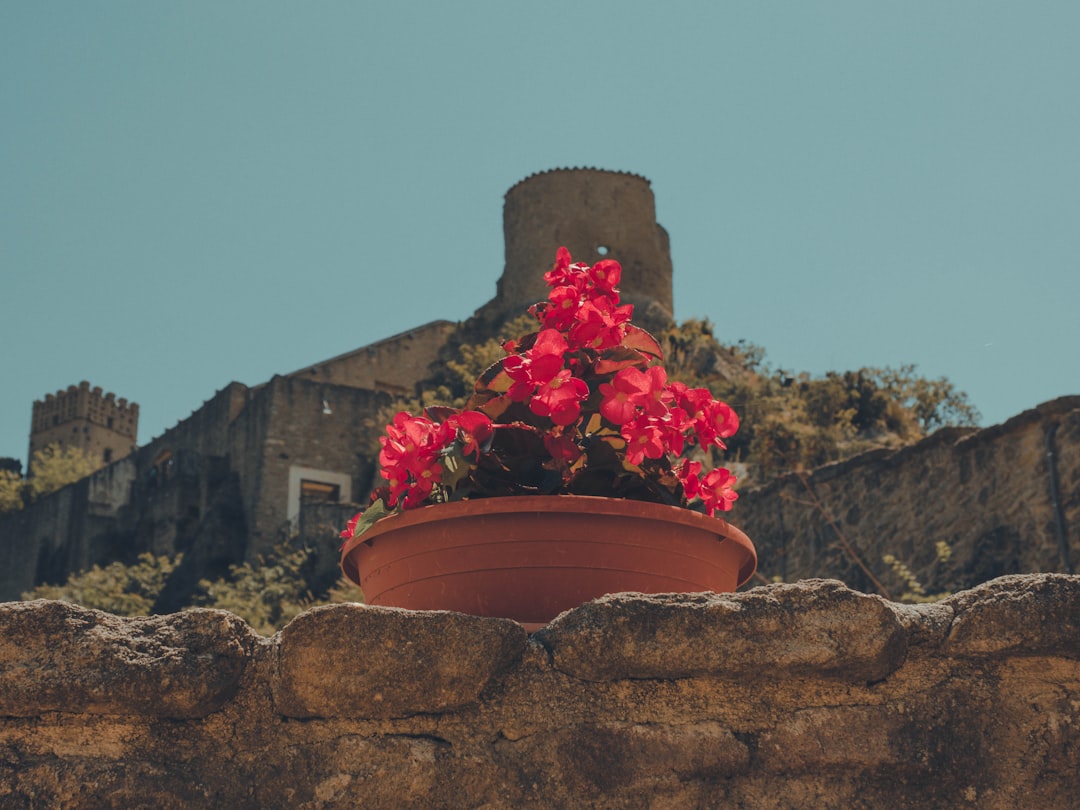Château Médiéval de Roccascalegna : Voyage dans le temps - Piazza Umberto I | Secret World Trip Planner