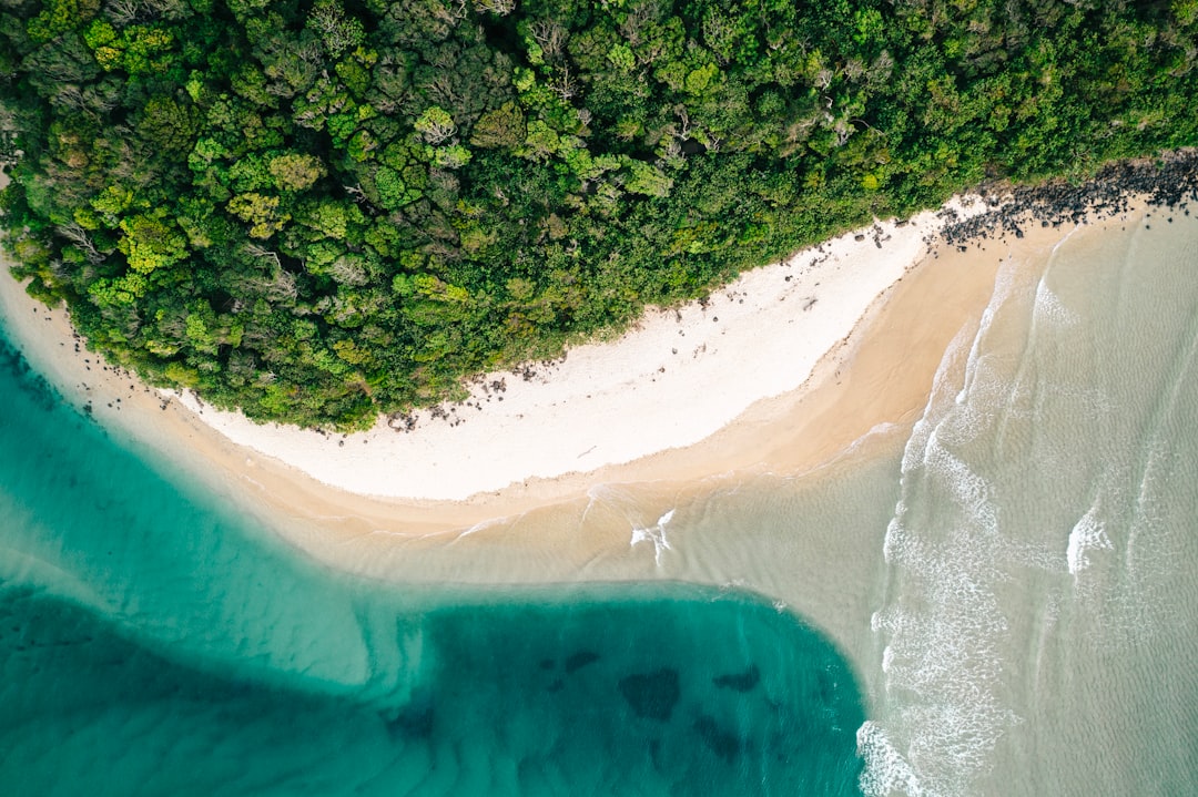 Entdecke den Kauapea Beach: Das versteckte Juwel von Kauai - Kauapea Beach | Secret World Trip Planner