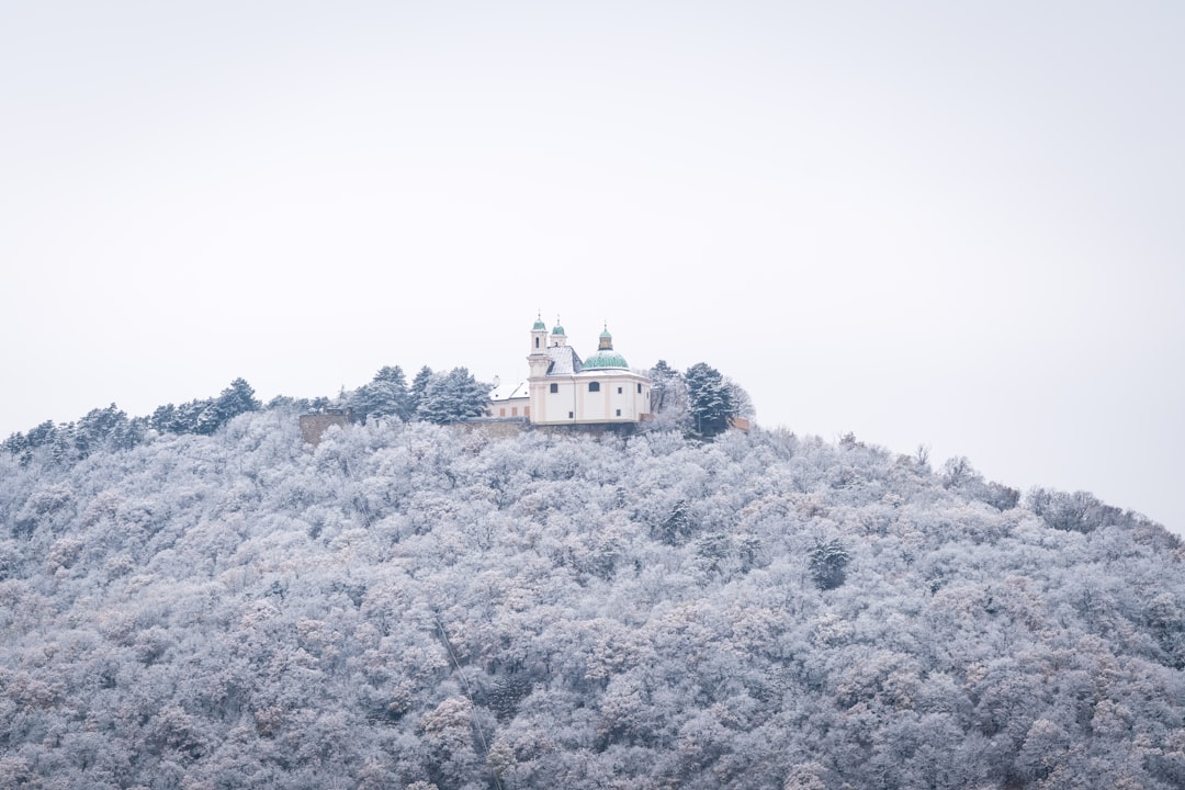 Vacances à Vienne pas chères : guide pratique 2026 - Vienna | Secret World Trip Planner