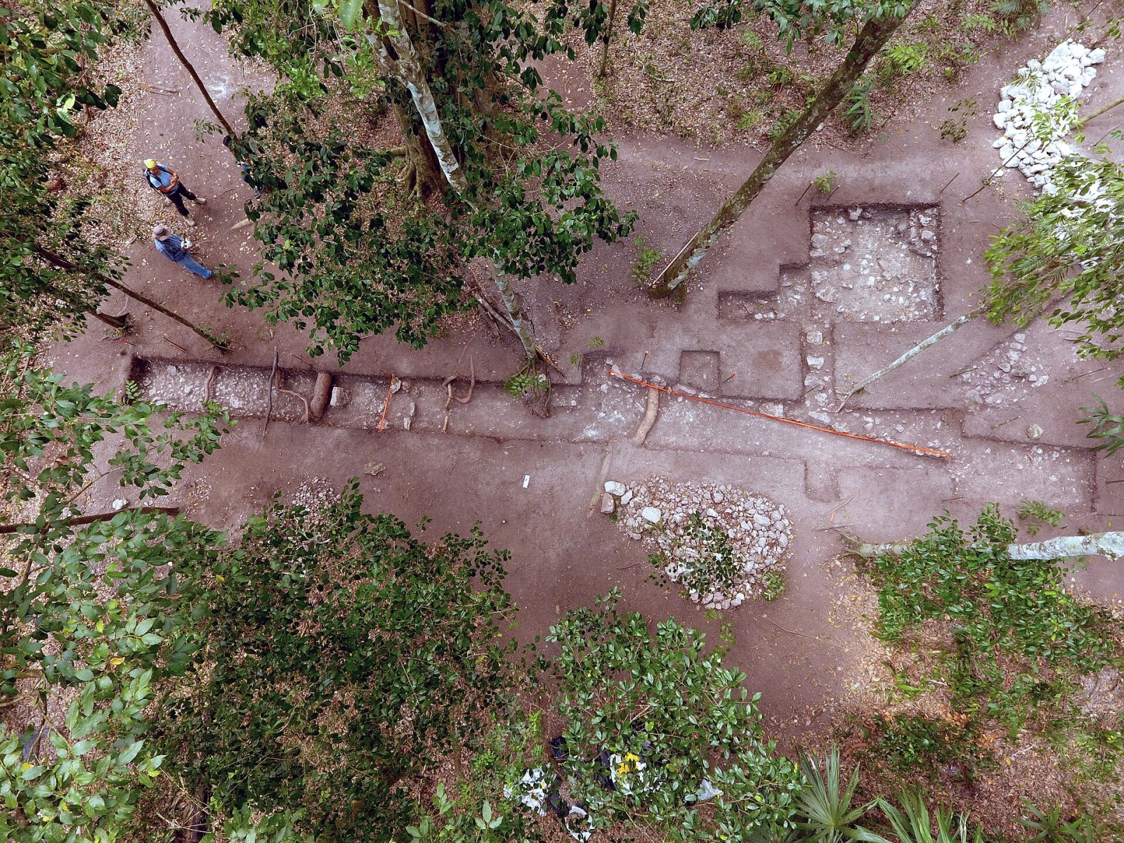 El Tintal : le trésor archéologique du Guatemala - Chilar | Secret World Trip Planner