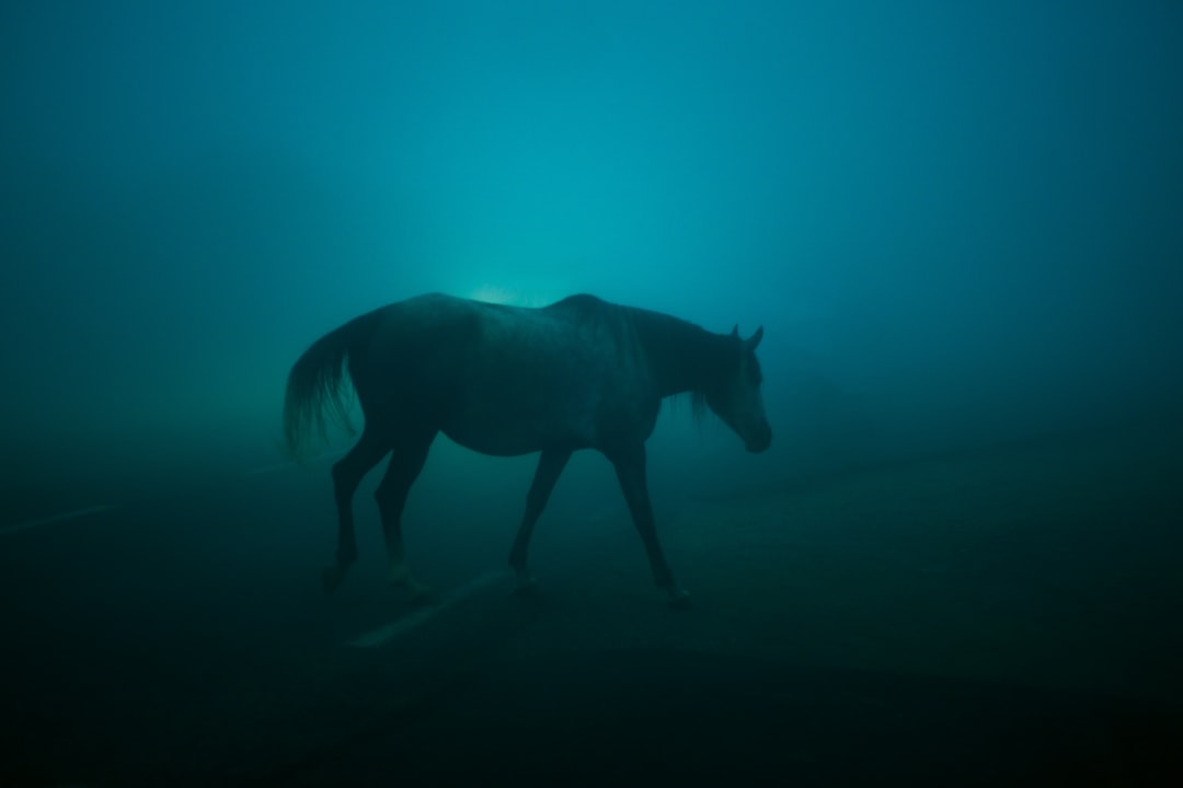 The Blue Horse by Franz Marc: Art and Nature in Zehdenick - Dorfanger 20 | Secret World Trip Planner