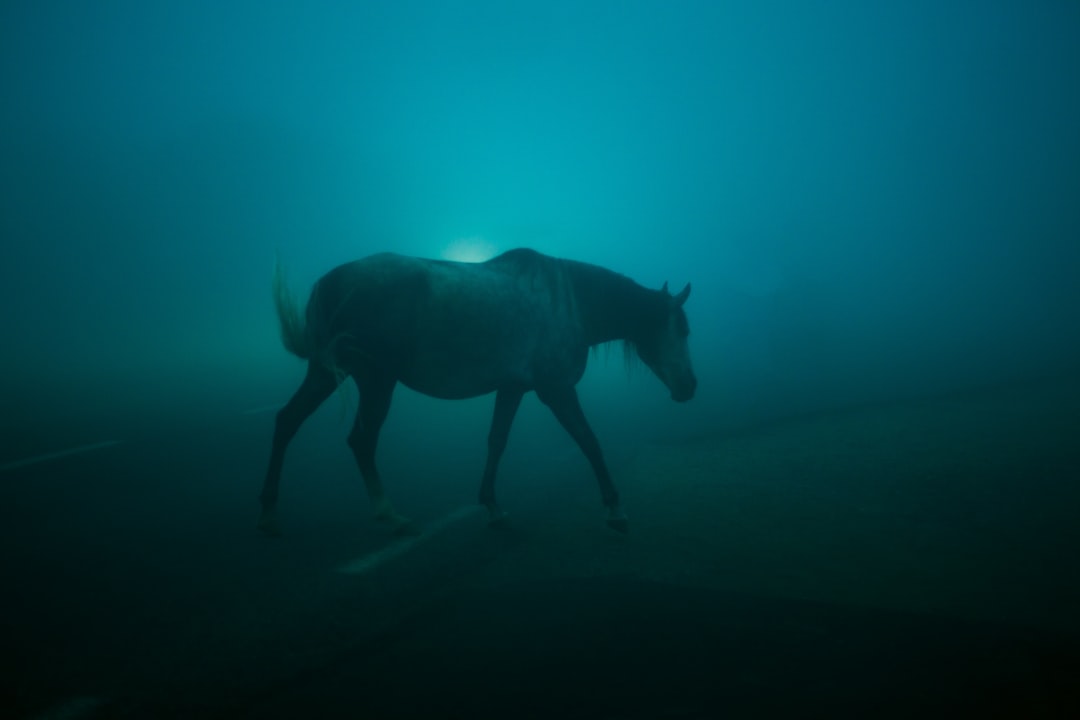 Le Cheval Bleu de Franz Marc : Art et Nature à Zehdenick - Dorfanger 20 | Secret World Trip Planner