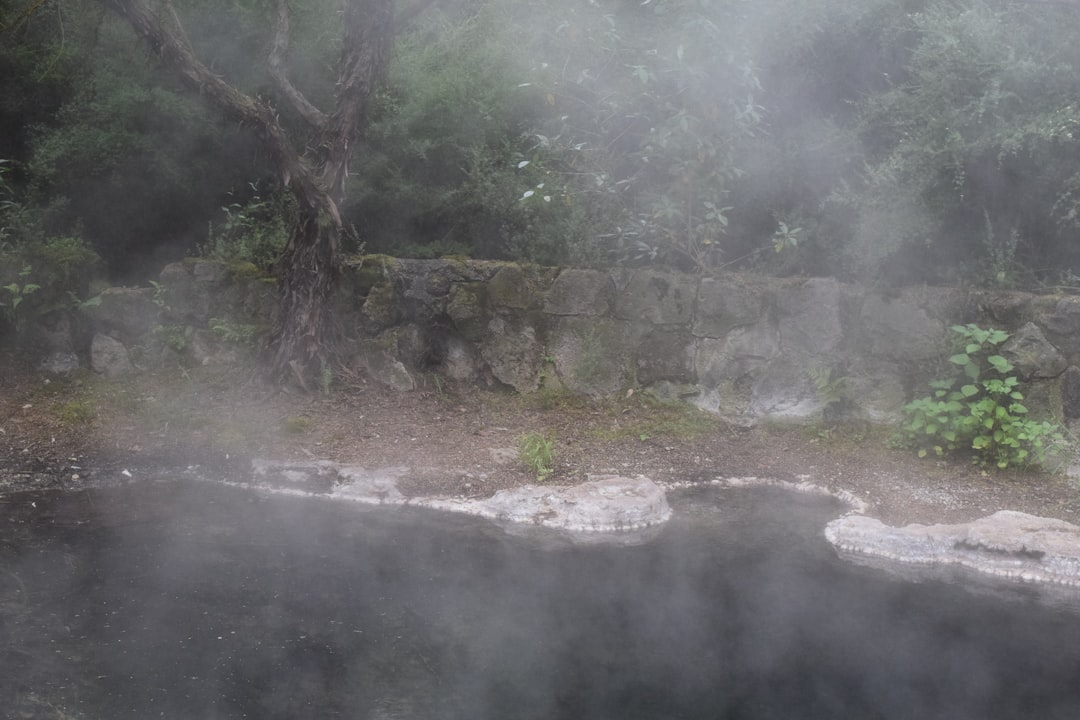 Wai Ariki Hot Springs & Spa: Benessere in Nuova Zelanda - 1047 Whakaue Street | Secret World Trip Planner
