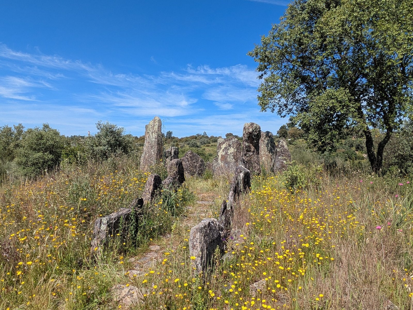 Anta da Foz do Rio Frio : un trésor mégalithique au Portugal - Ortiga | Secret World Trip Planner