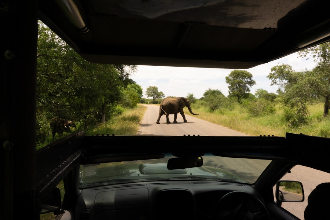 Découvrez la biodiversité à la porte Malelane du Kruger - R570 | Secret World Trip Planner