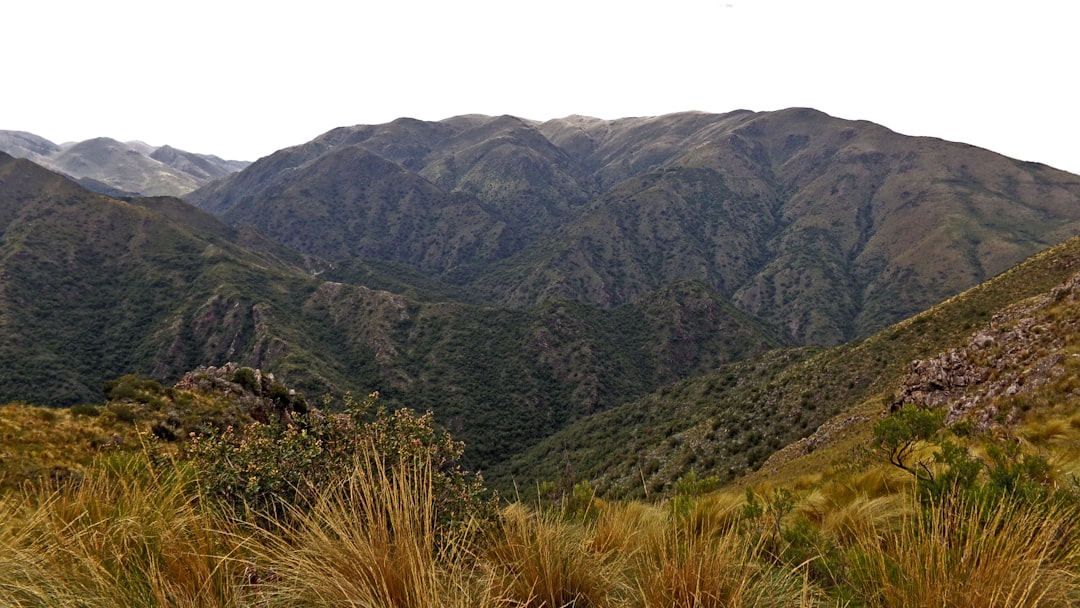 Sous le Ciel Étoilé de la Sierra de San Pedro Mártir - Carretera Diaz Ordaz al Observatorio Km 84 | Secret World Trip Planner