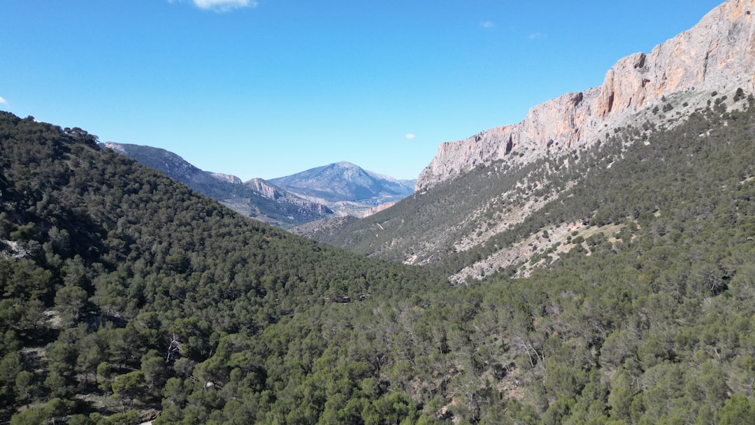 Sous le Ciel Étoilé de la Sierra de San Pedro Mártir - Carretera Diaz Ordaz al Observatorio Km 84 | Secret World Trip Planner